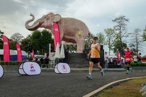 BIB: 
                            <button type="button" onclick="openModal(26528586)" class="btn btn-primary btn-sm float-right btn-popup" data-toggle="modal" data-target=".modal-high-quality">
                        <i class="fas fa-shopping-cart"></i> Add to Cart
                    </button>
                                            <button type="button" onclick="isThisMe(26528586, true)" class="btn btn-success btn-sm float-right btn-popup btn-isme hidden" data-toggle="tooltip" data-placement="bottom" title="นี่คือรูปของคุณใช่ไหม คลิกที่นี่เพื่อเอาเข้าอัลบั้ม">
                        <i class="fas fa-plus"></i> Add to album
                    </button>
                    <button type="button" onclick="isThisMe(26528586, false)" class="btn btn-warning btn-sm float-right btn-popup btn-isnotme hidden">
                        <i class="fas fa-ban"></i> Remove from album
                    </button>